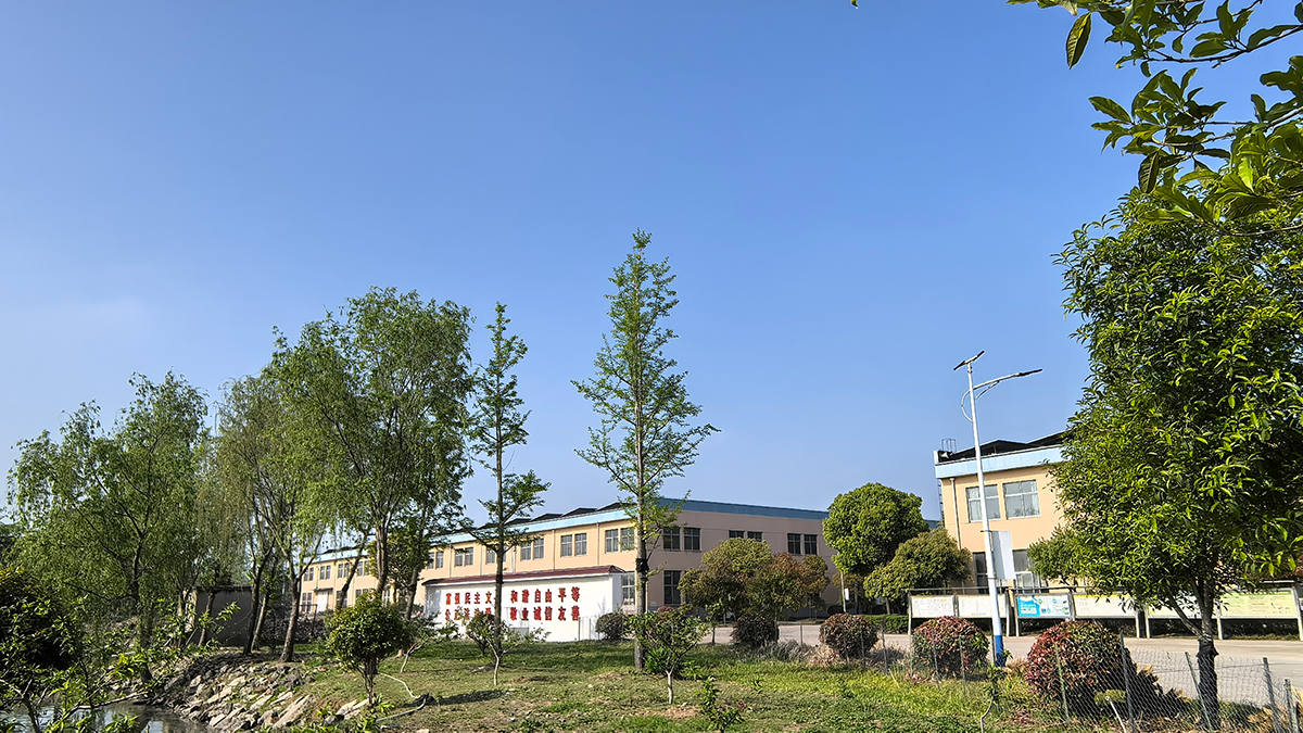 公司内景